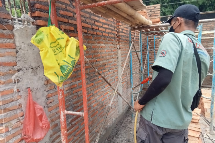 biaya jasa anti rayap di yogyakarta